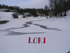 VN Loki.jpg